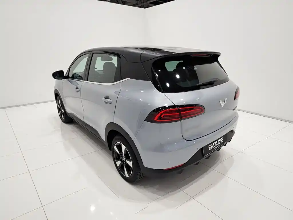 Wuling BinguoPLUS PLUS 2024 510km мест