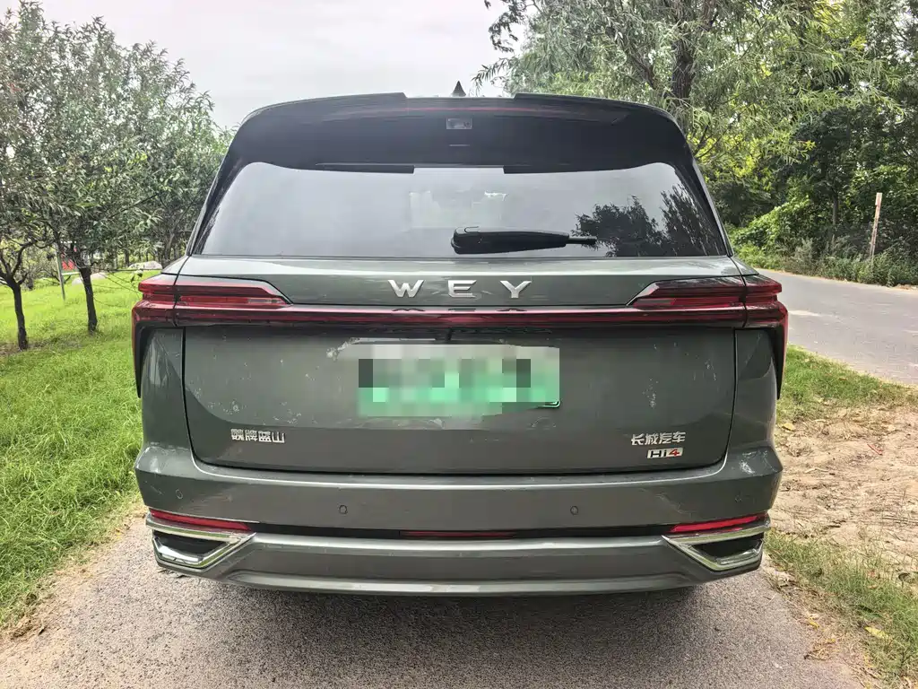 Wey Wey Lanshan — миниатюра 10