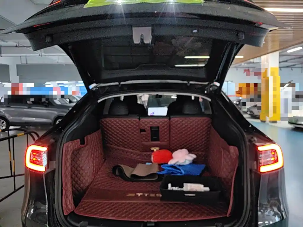 Tesla Model Y — миниатюра 19
