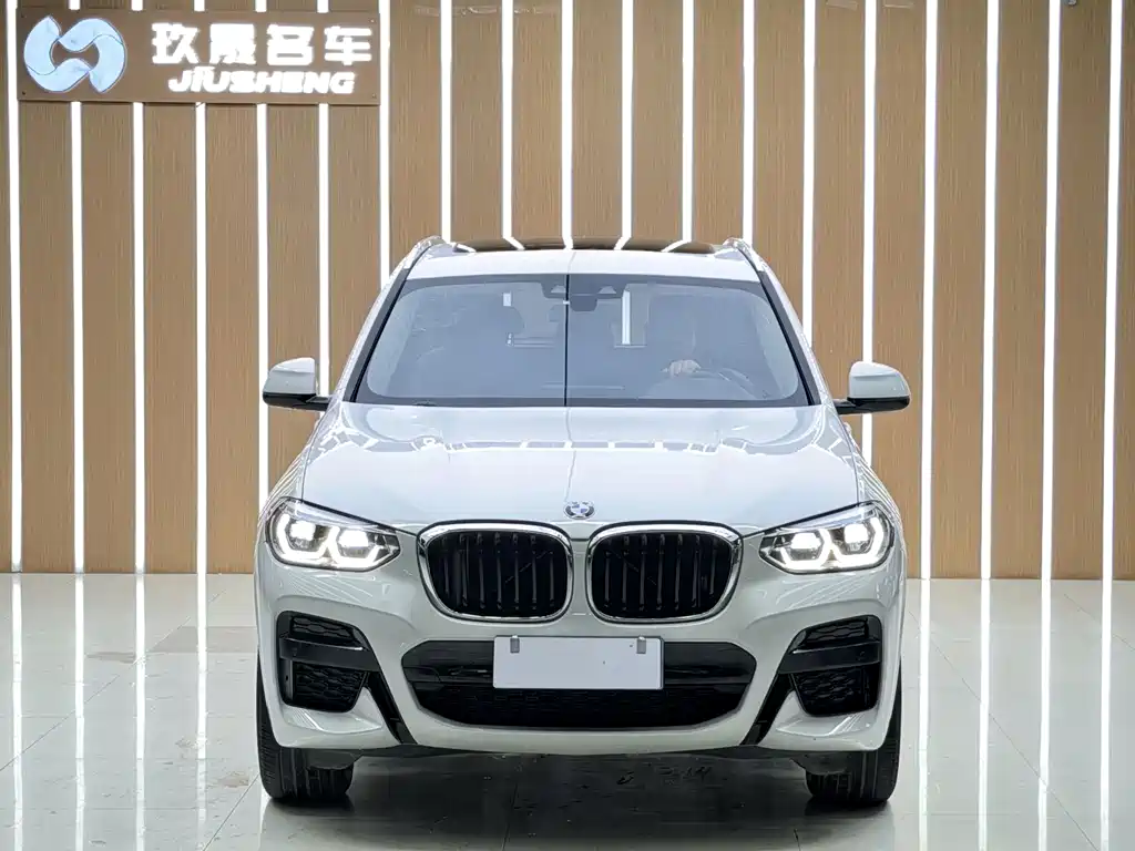 BMW X3 — миниатюра 2