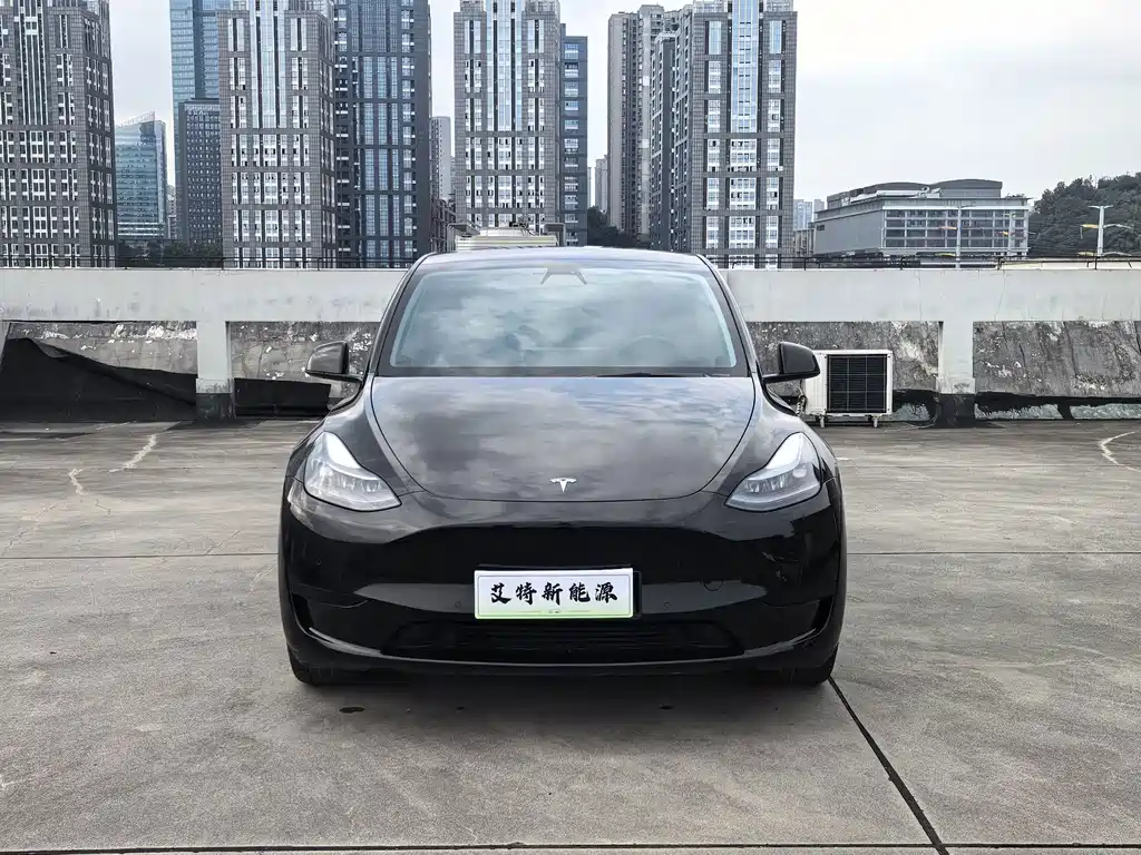 Tesla Model Y — миниатюра 3