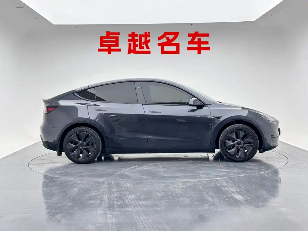 Tesla Model Y — миниатюра 5