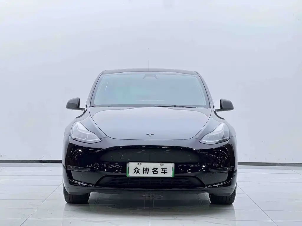 Tesla Model Y — миниатюра 2