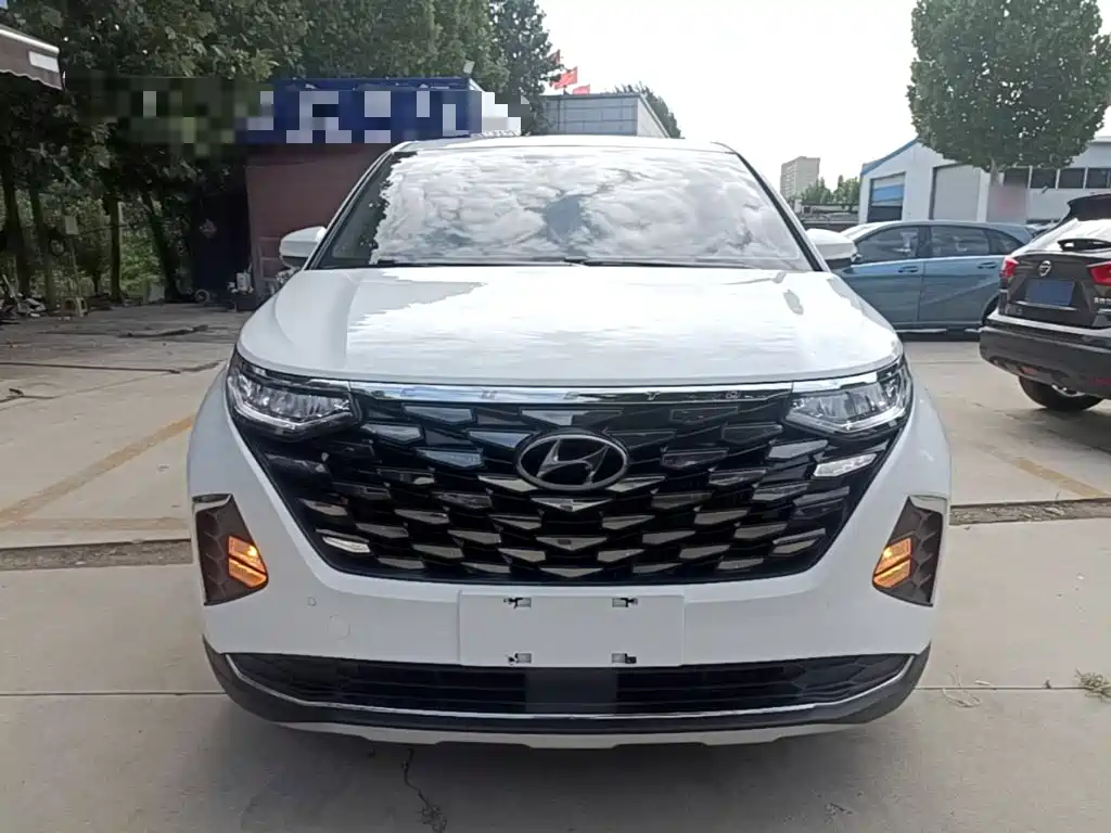 Hyundai Custo — миниатюра 3