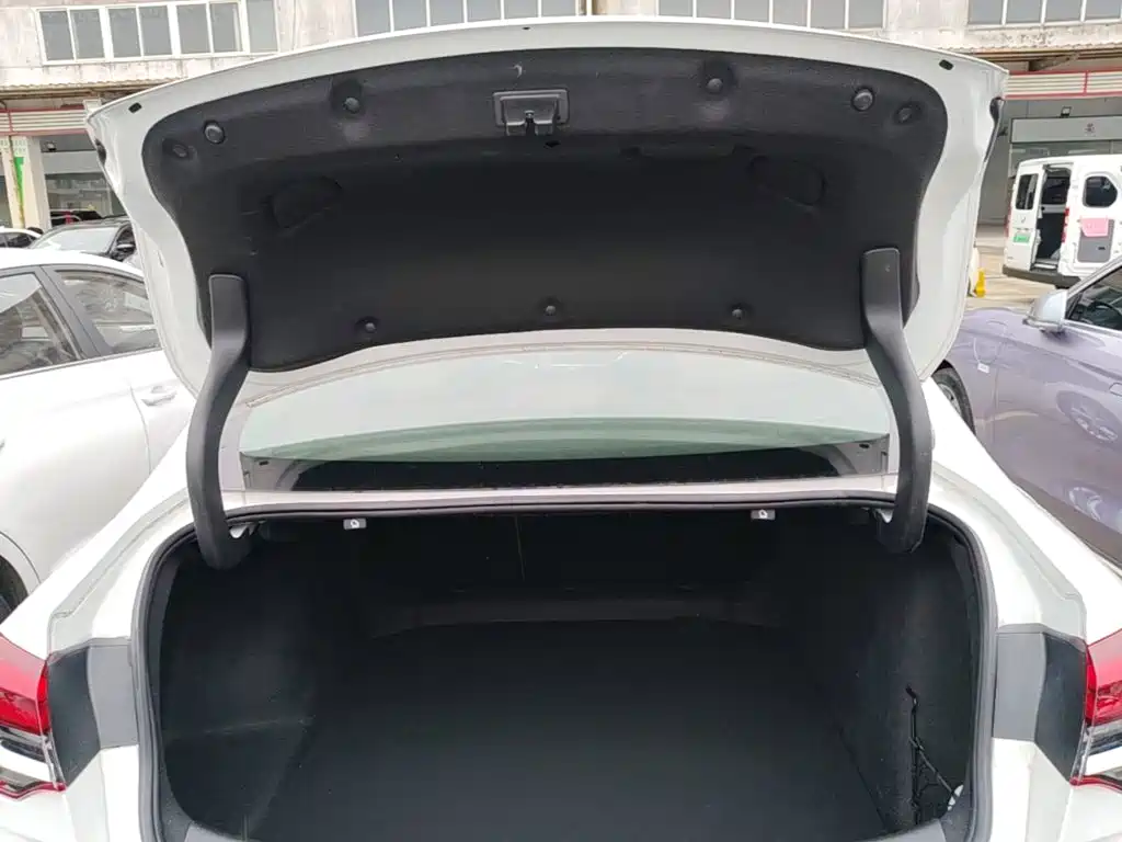 Buick Regal — миниатюра 19