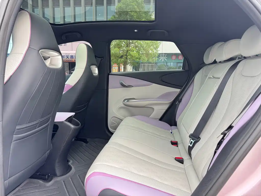BYD Dolphin — миниатюра 5