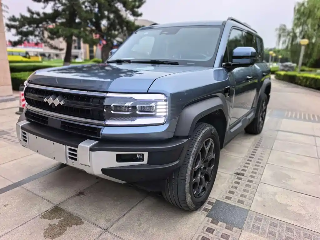 Fang Cheng Bao Leopard 5 — миниатюра 2