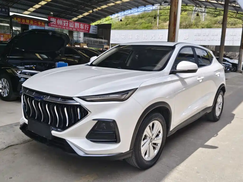 Oshan Oushang X5 2021