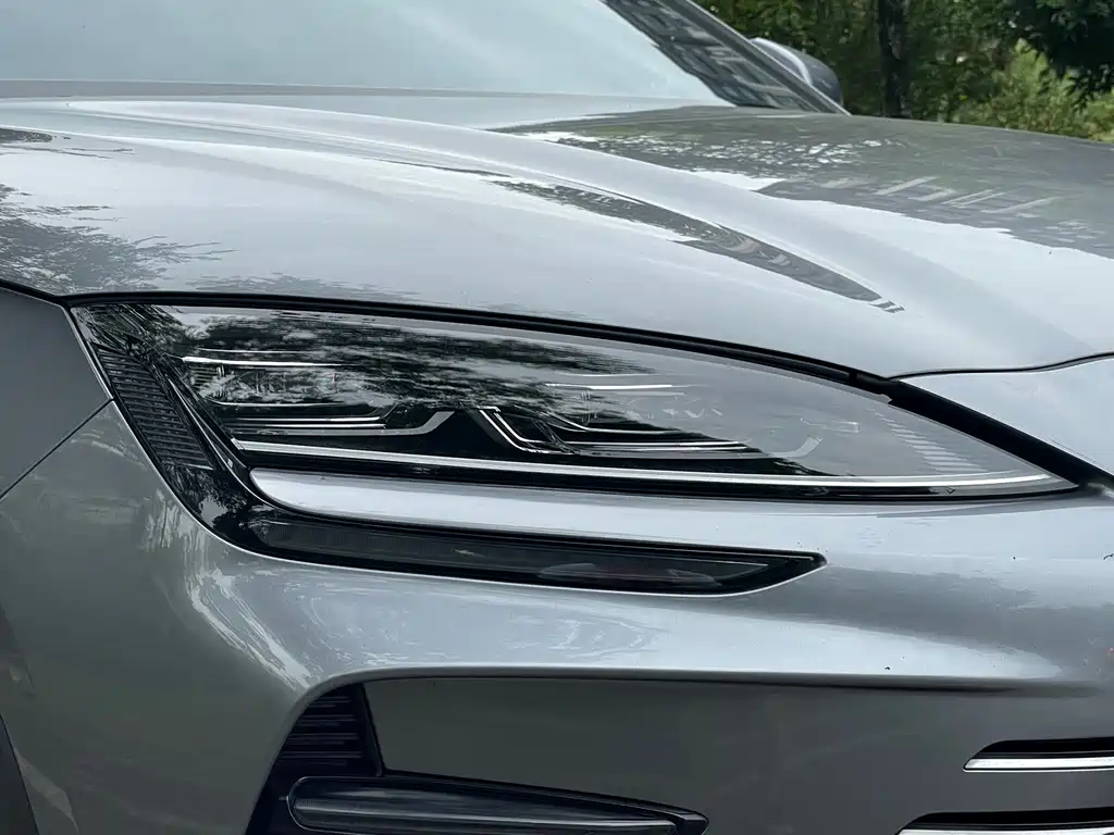 BYD PLUS New Energy — миниатюра 8