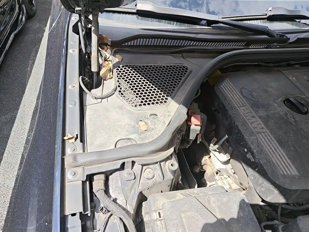 BMW 3 Series — миниатюра 19