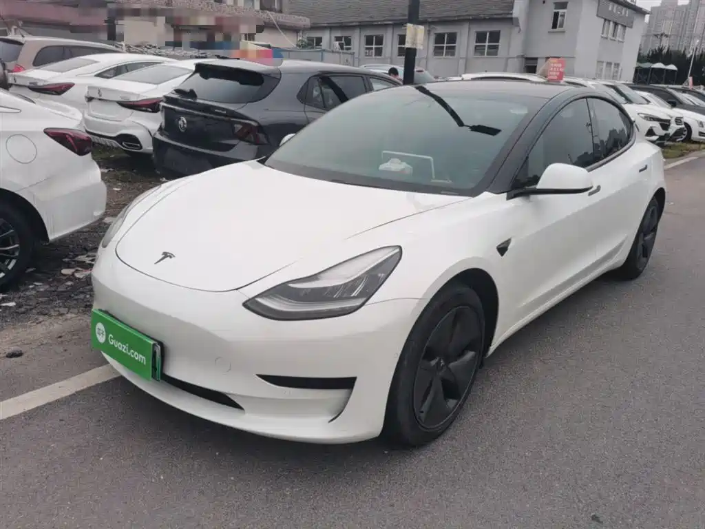 Tesla Model 3 2019