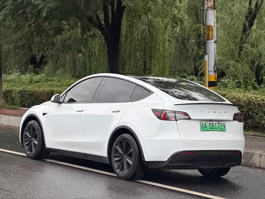 Tesla Model Y — миниатюра 4