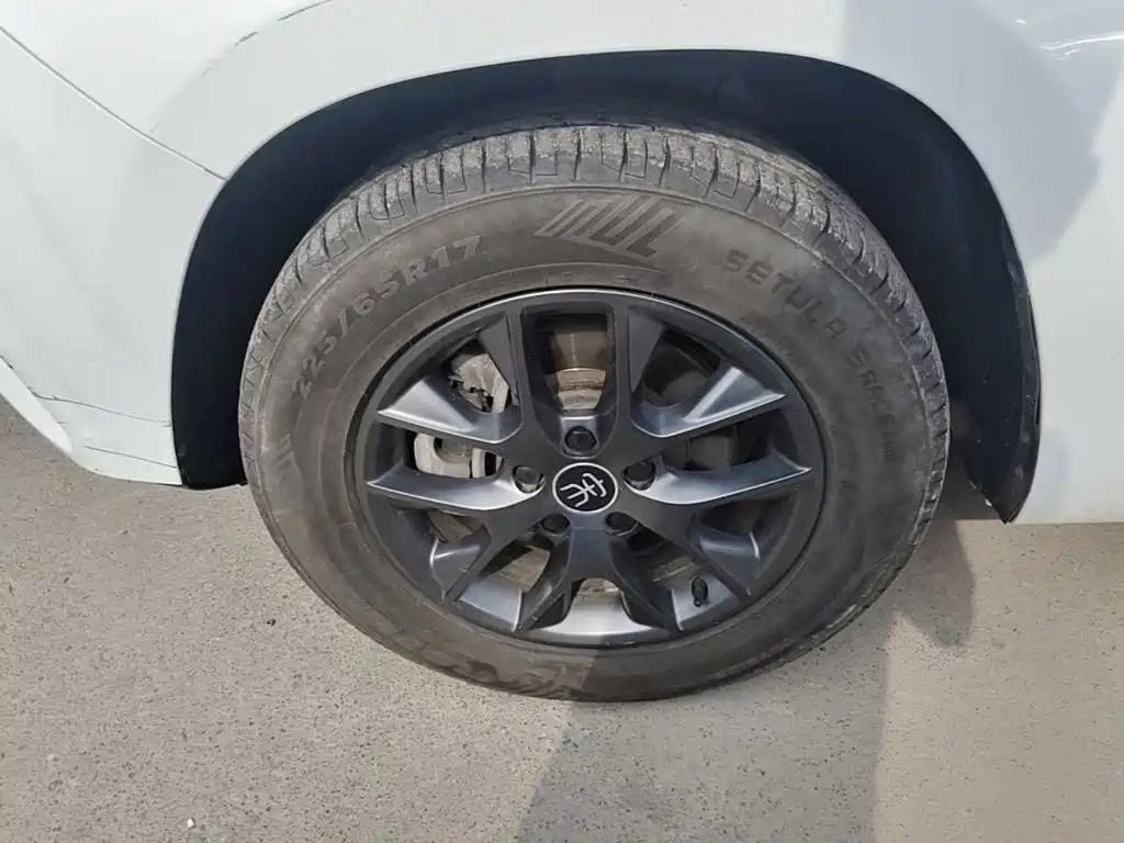 BYD Song — миниатюра 23