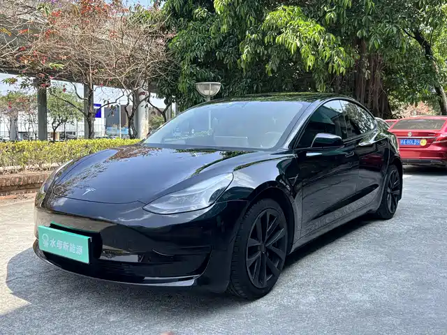 TESLA MODEL 3 2021