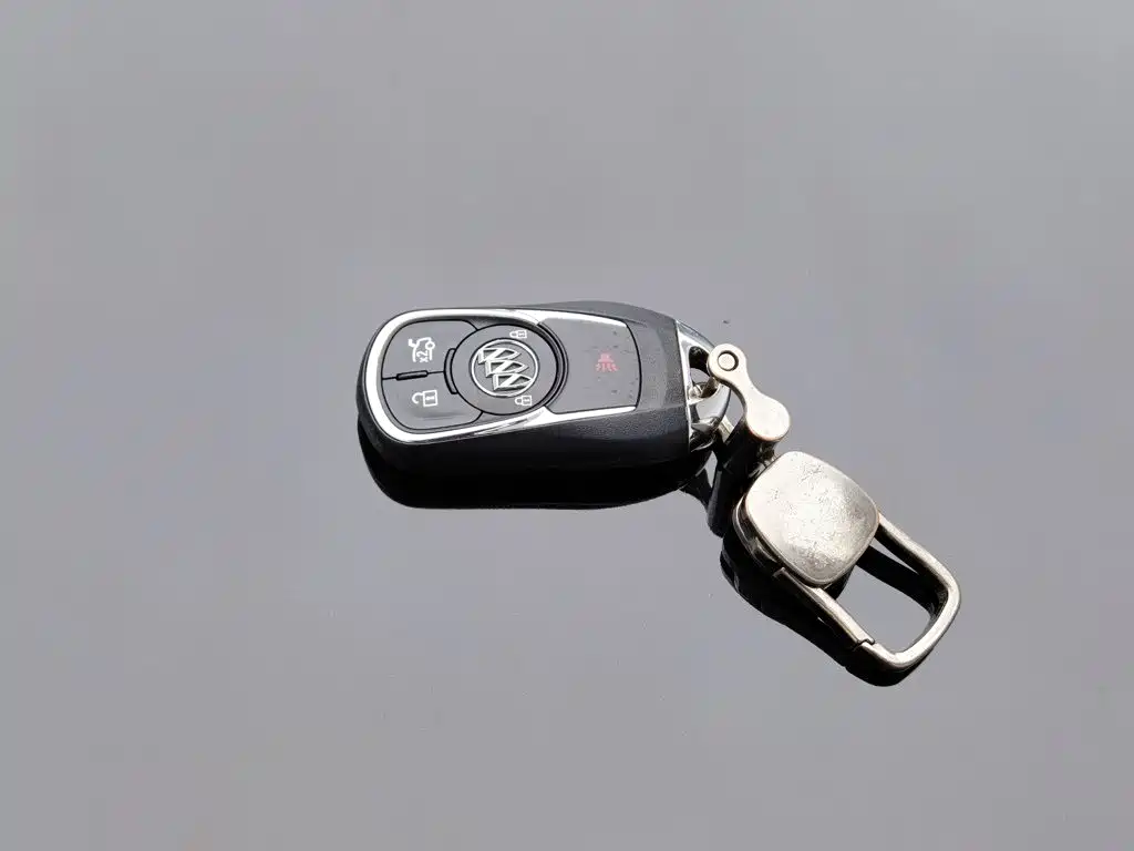 Buick Regal — миниатюра 19