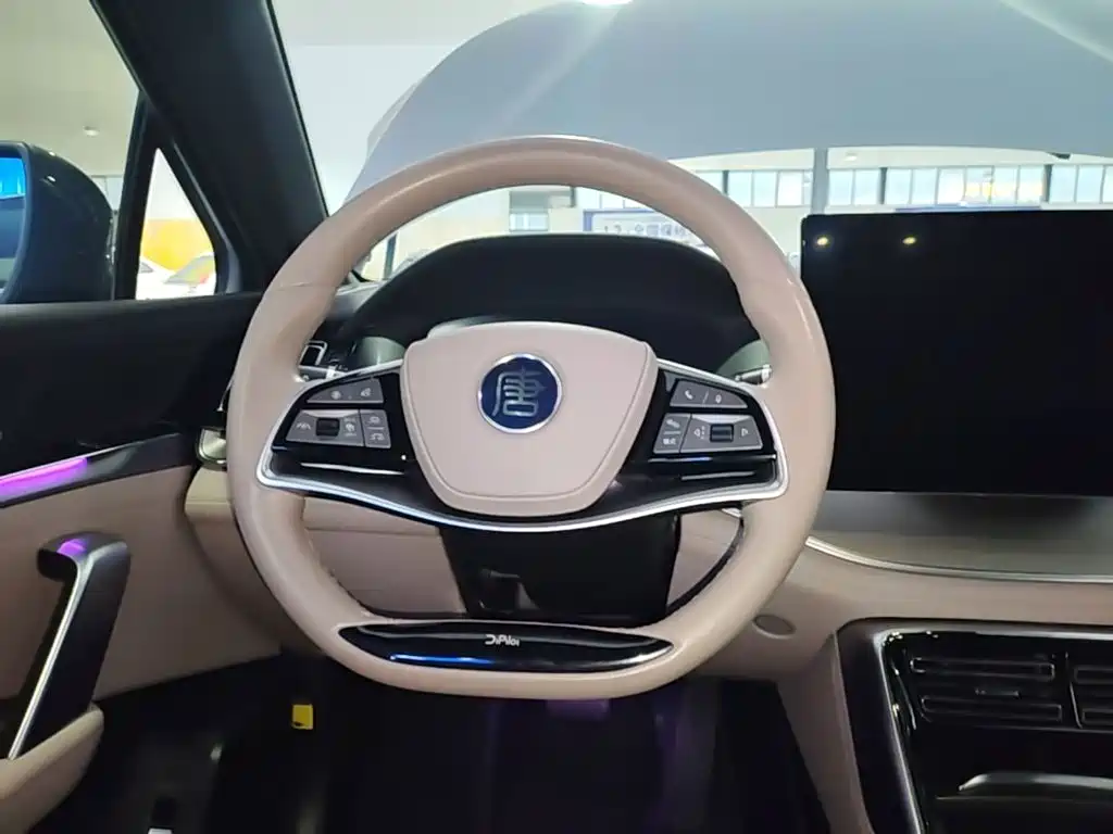 BYD Tang New Energy — миниатюра 11