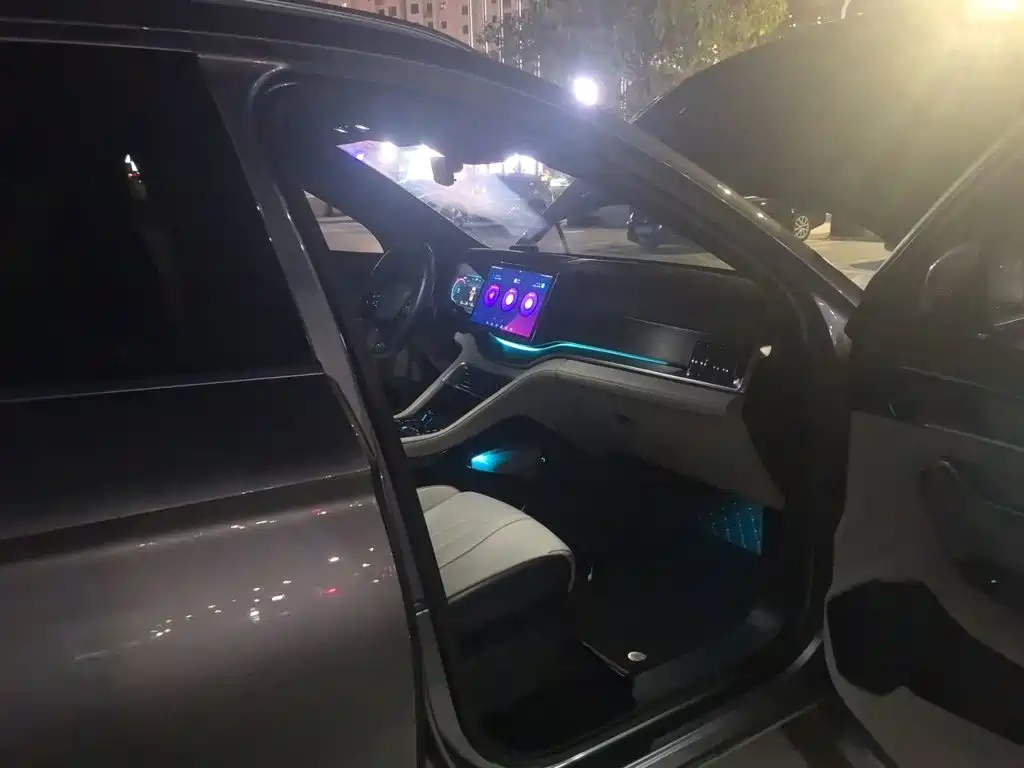 BYD PLUS New Energy — миниатюра 18