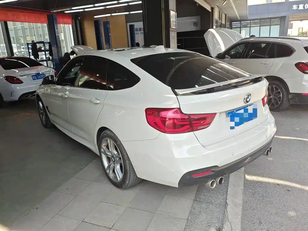 BMW 3 Series GT 320i M Sport Type, фото 6