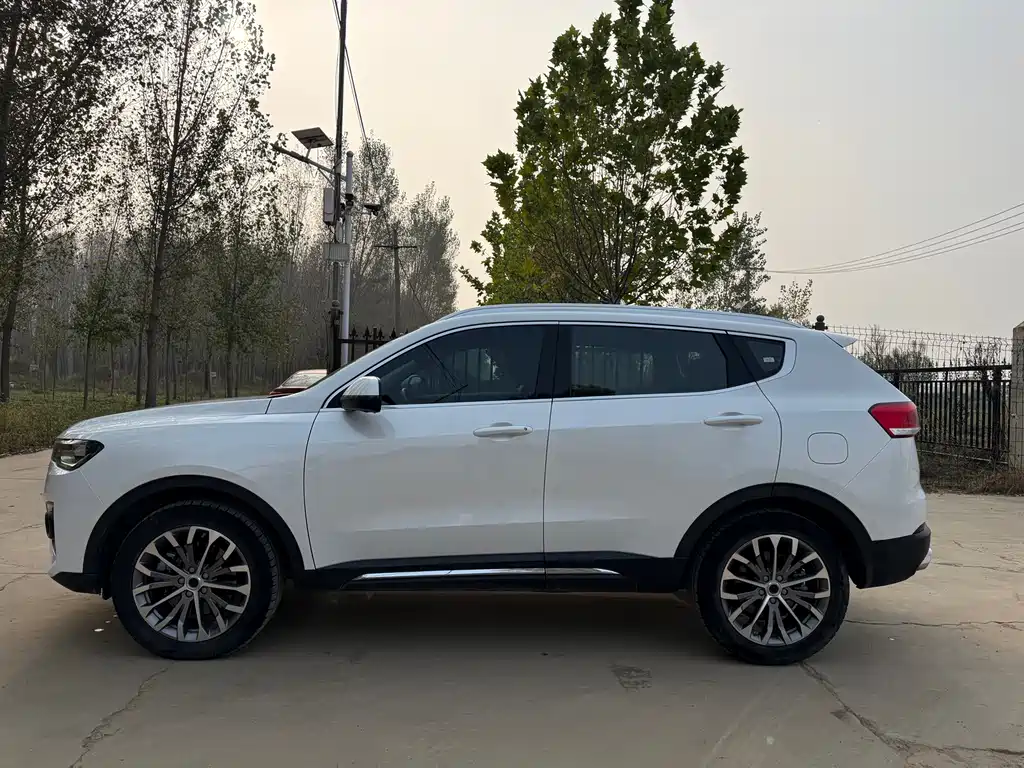 Haval H6 — миниатюра 4