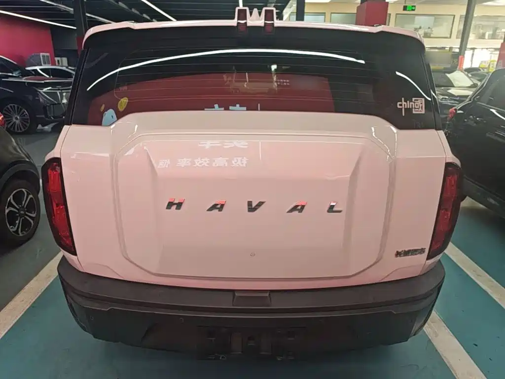 Haval Cool Dog — миниатюра 6