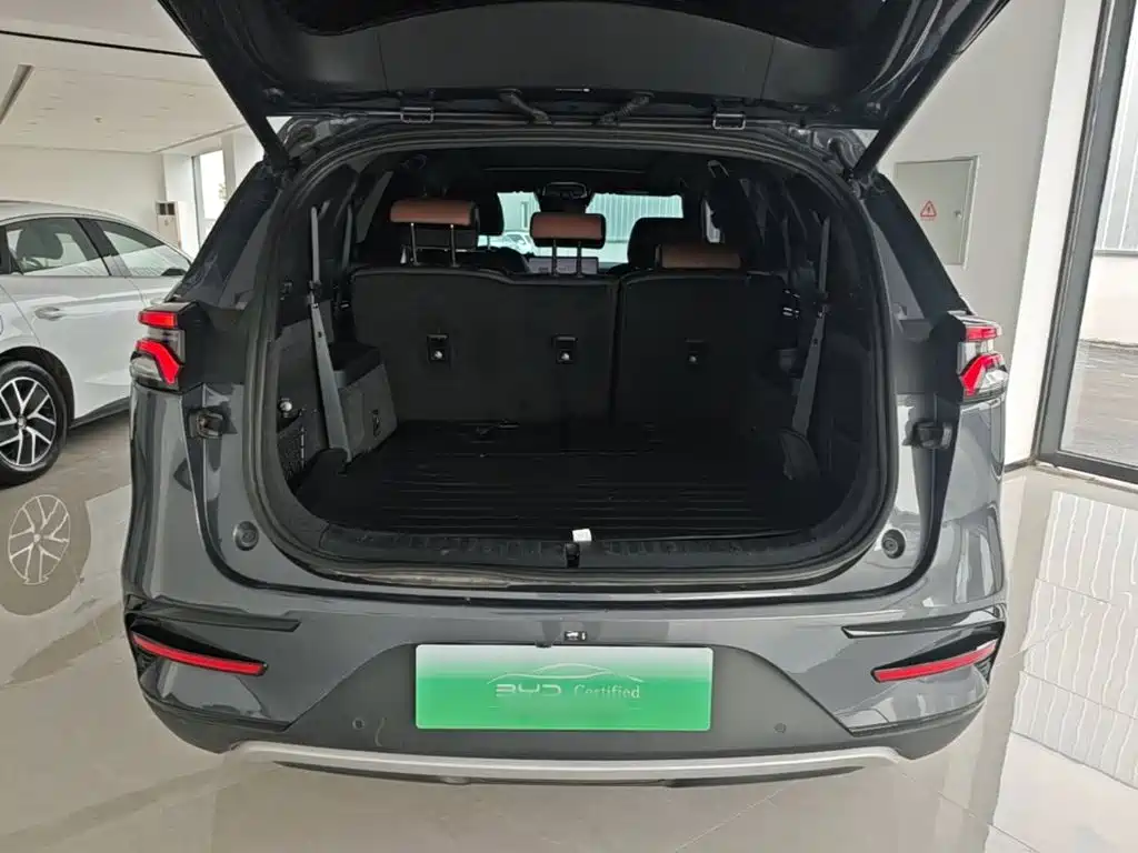 BYD Tang New Energy — миниатюра 19
