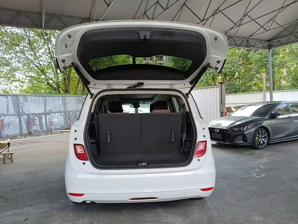Buick GL6 — миниатюра 19