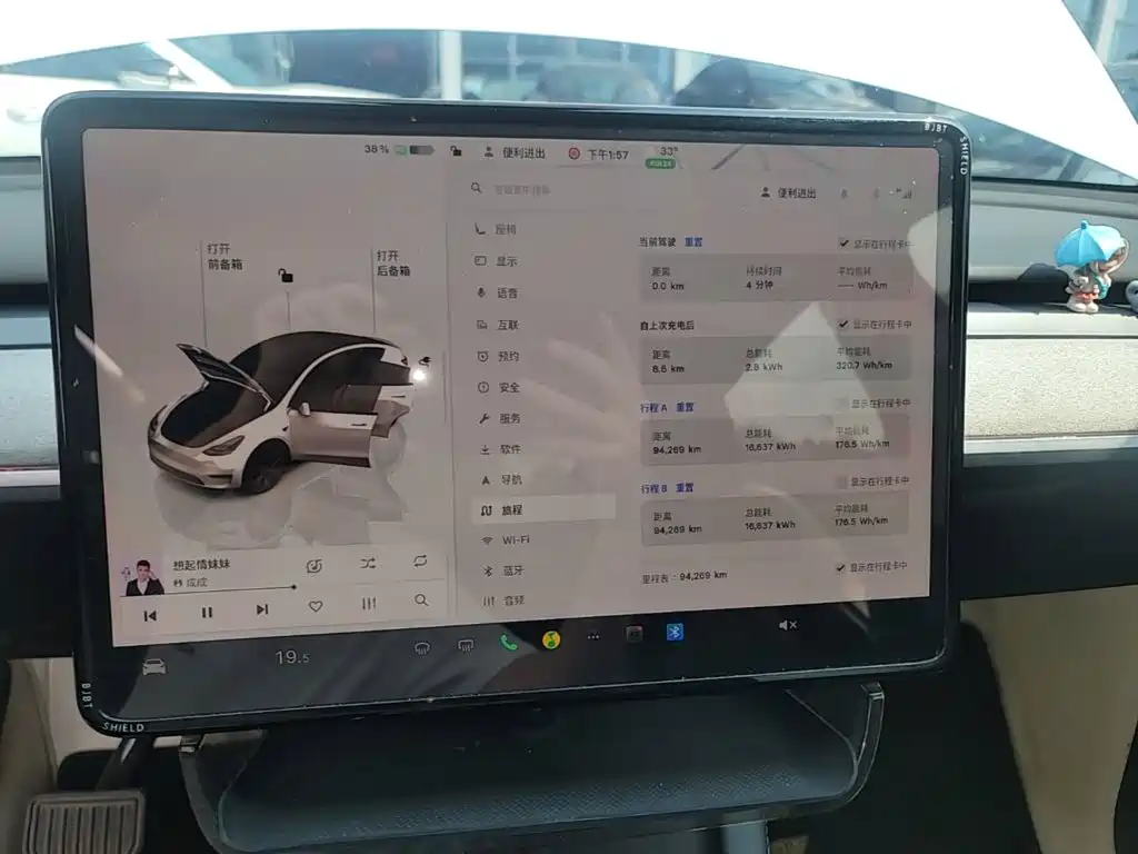 Tesla Model Y — миниатюра 12