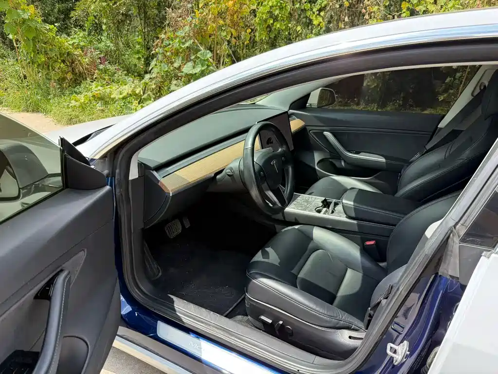 Tesla Model 3 — миниатюра 4