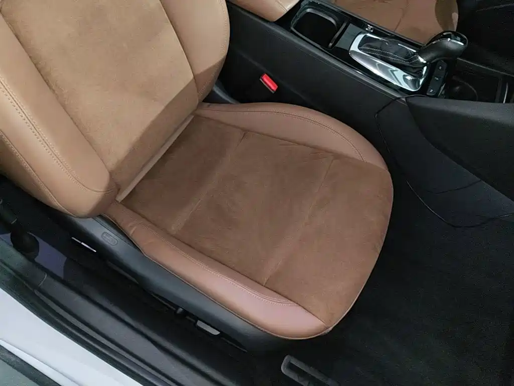 Buick Regal — миниатюра 25
