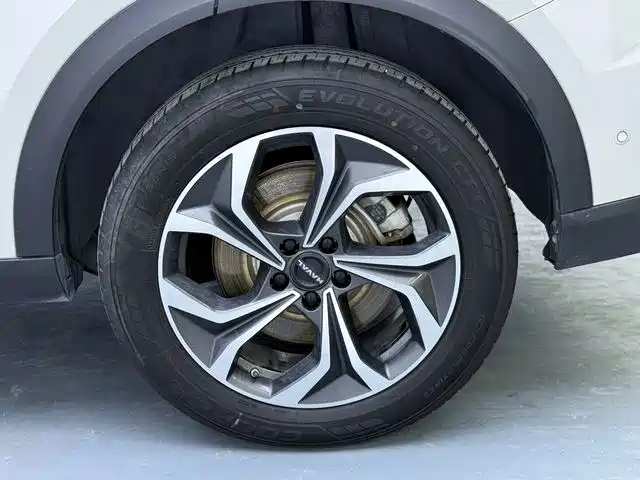 Haval Xiaolong MAX — миниатюра 19