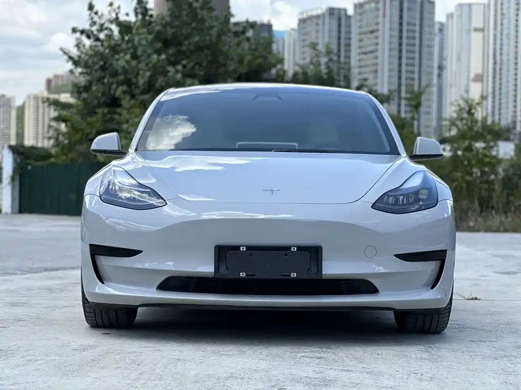 Tesla Model 3 — миниатюра 3