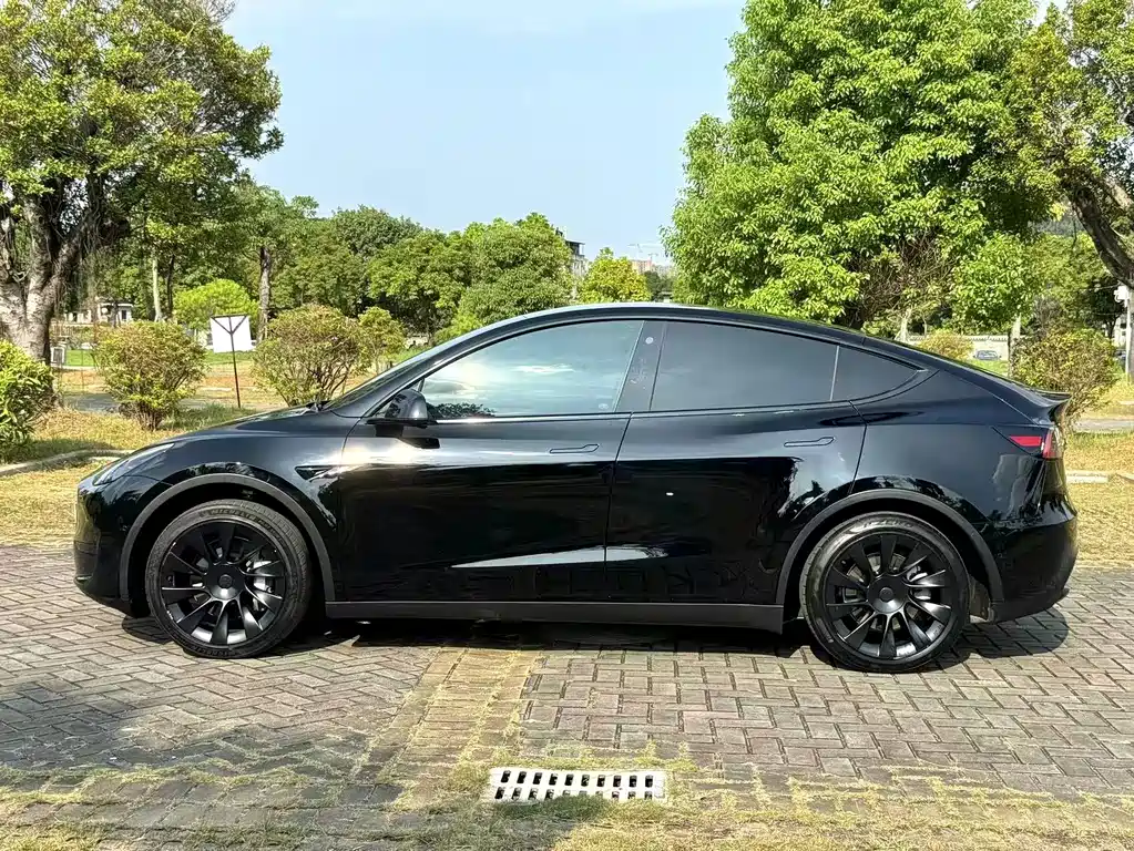 Tesla Model Y — миниатюра 7
