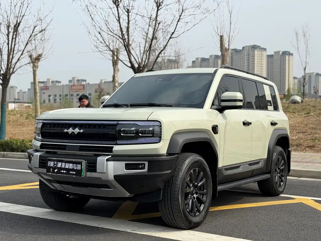 FANG CHENG BAO LEOPARD 5