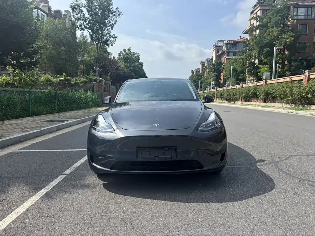 Tesla Model Y — миниатюра 2