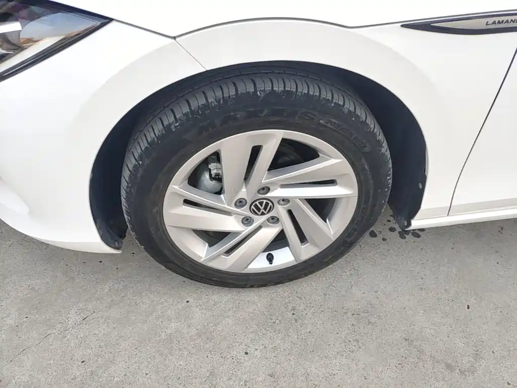 Volkswagen Lamando — миниатюра 23
