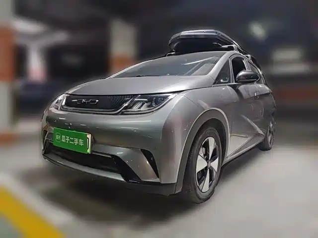 2024 BYD Dolphin
