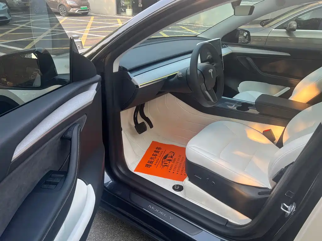 Tesla Model Y — миниатюра 8