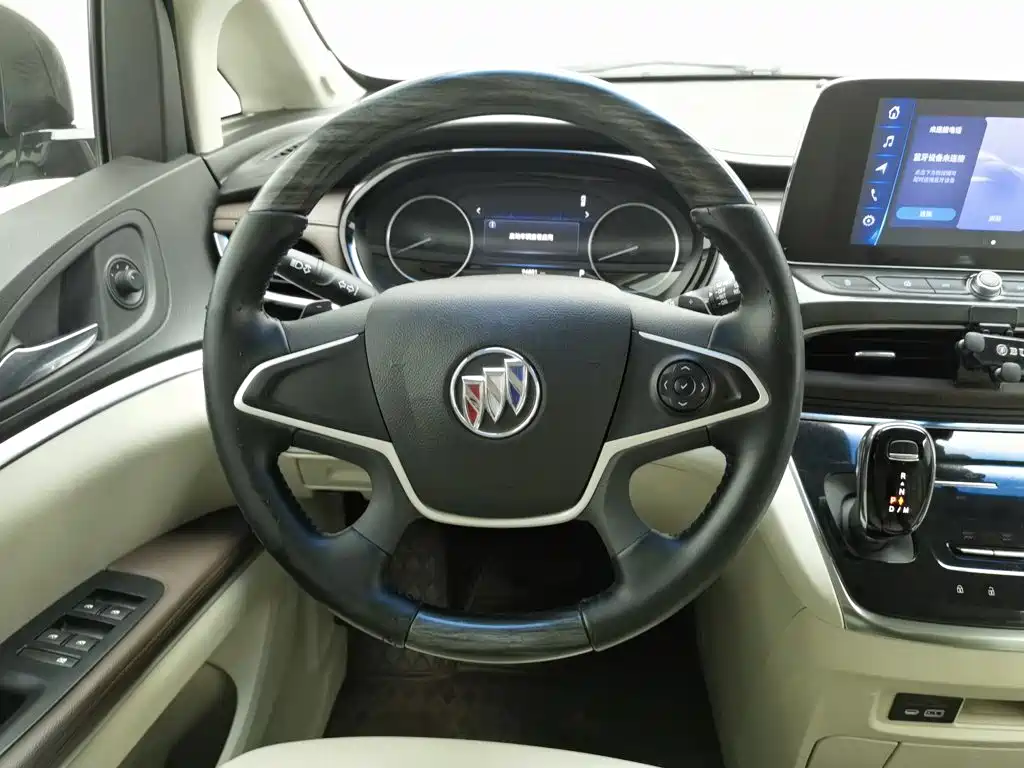 Buick GL8 — миниатюра 11