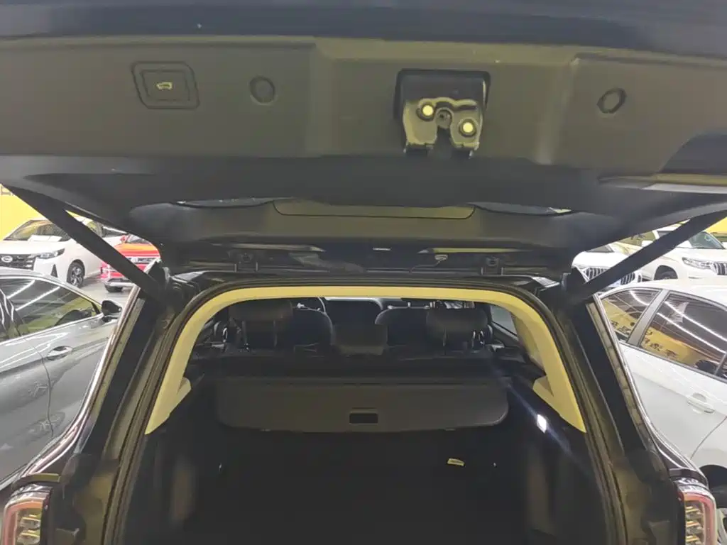 Haval Big Dog — миниатюра 19