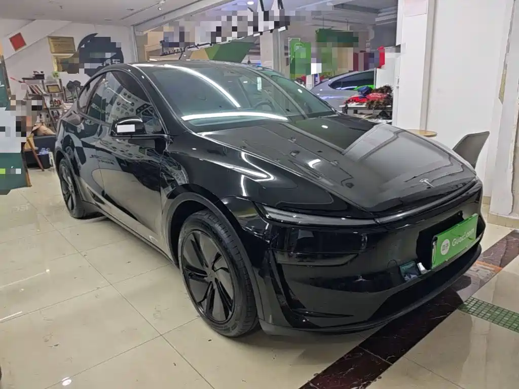 Tesla Model Y — миниатюра 4