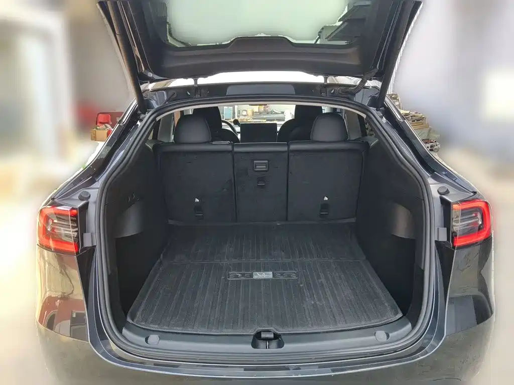 Tesla Model Y — миниатюра 15