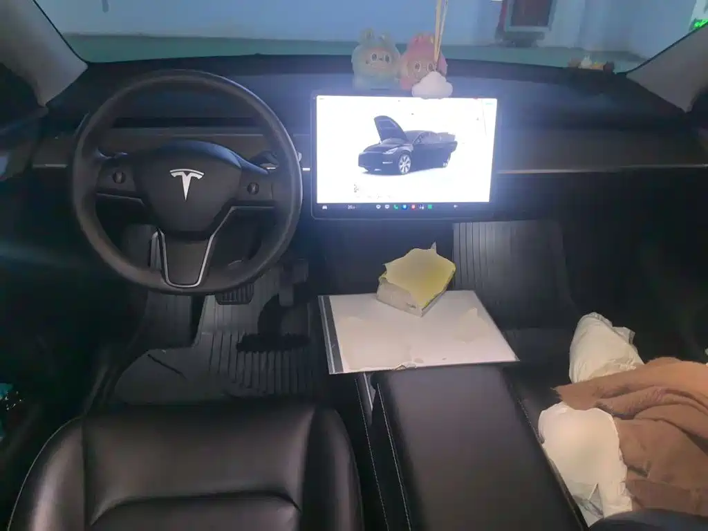 Tesla Model Y — миниатюра 6