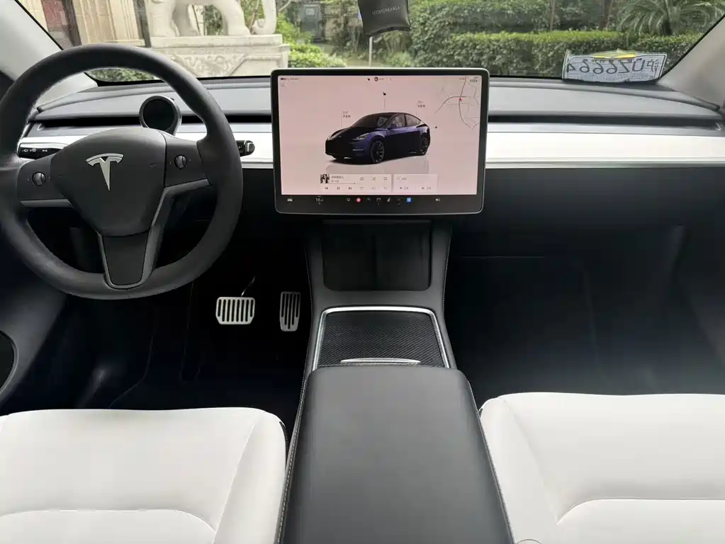 Tesla Model Y — миниатюра 10