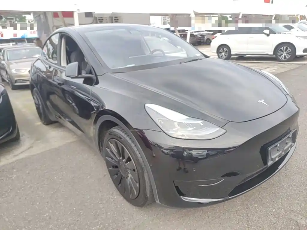 Tesla Model Y — миниатюра 4