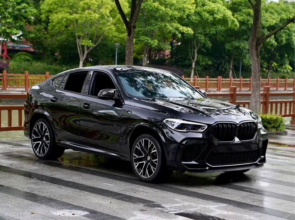BMW X6 M — миниатюра 3