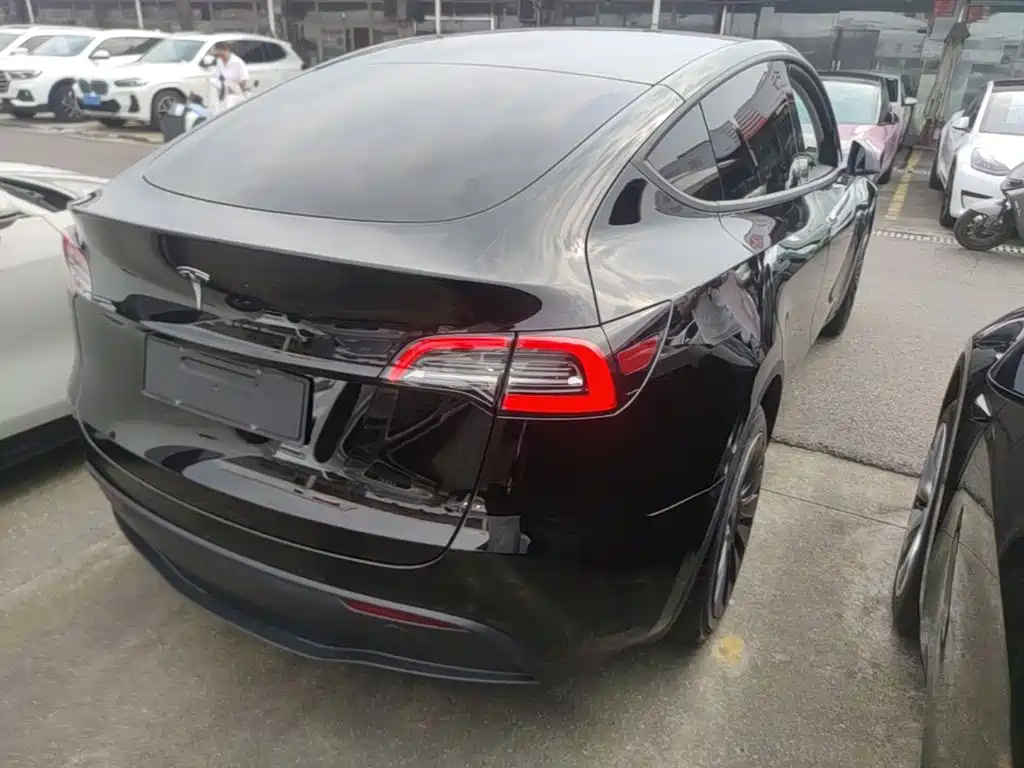 Tesla Model Y — миниатюра 7