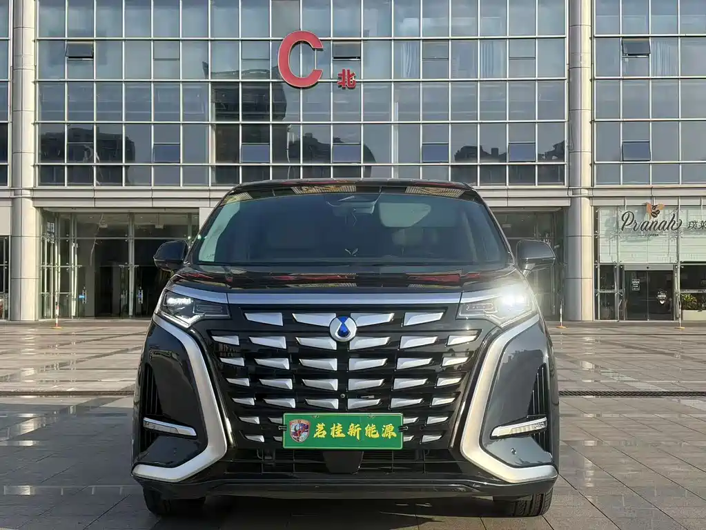 Denza Denza D9 — миниатюра 2