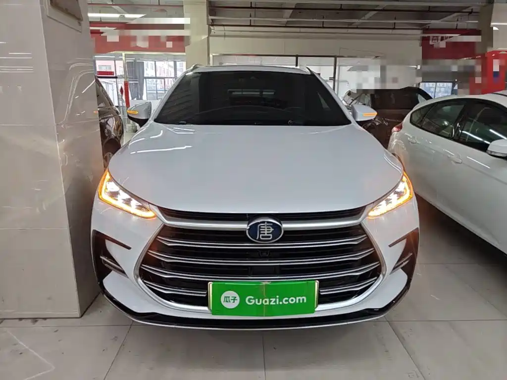 BYD Tang New Energy — миниатюра 3