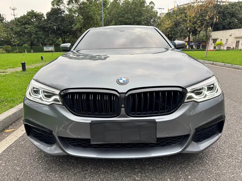 BMW 5 Series (Import) — миниатюра 2