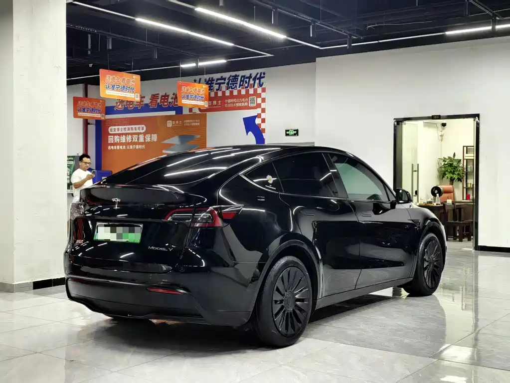 Tesla Model Y — миниатюра 7